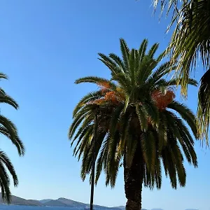  Apartment Andy